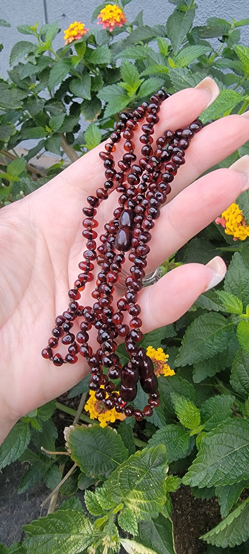Cherry Amber Baby Teething Necklace